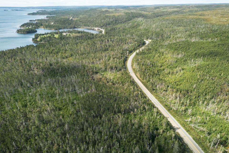 An aerial photo shows the Cole Harbour area in Guysborough County, N.S.