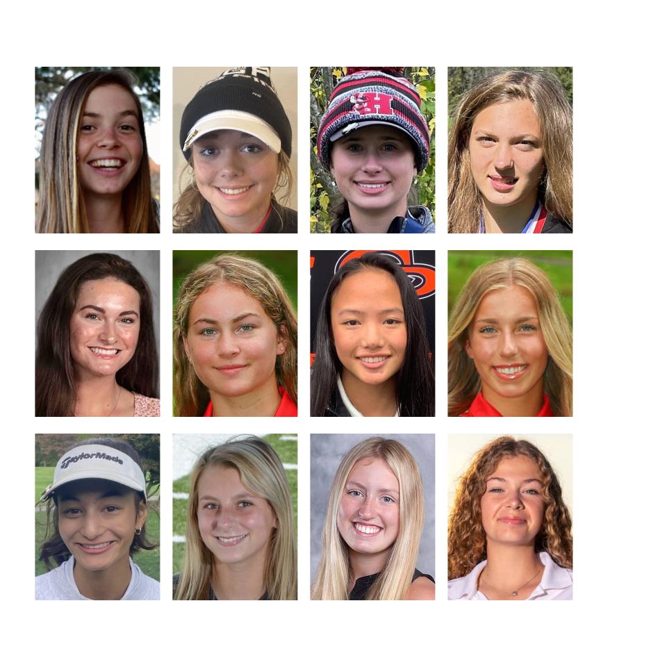 The Erie Times-News District 10 Girls Golf All-Stars include, top row, from left: North East's Anna Swan, West Middlesex's Kate Sowers, Hickory's Sasha Petrochko and Reynolds' Zoe Stern; second row, from left: Mercyhurst Prep's Katie Caryl, Hickory's Luciana Masters, Cathedral Prep's Annamarie Zinram and Hickory's Ava Liburdi; third row, from left: Erie's Elizabeth D'Andrea, McDowell's Alexis Marsh, Fairview's Meredith Thompson and Wilmington's Kaitlyn Hoover.