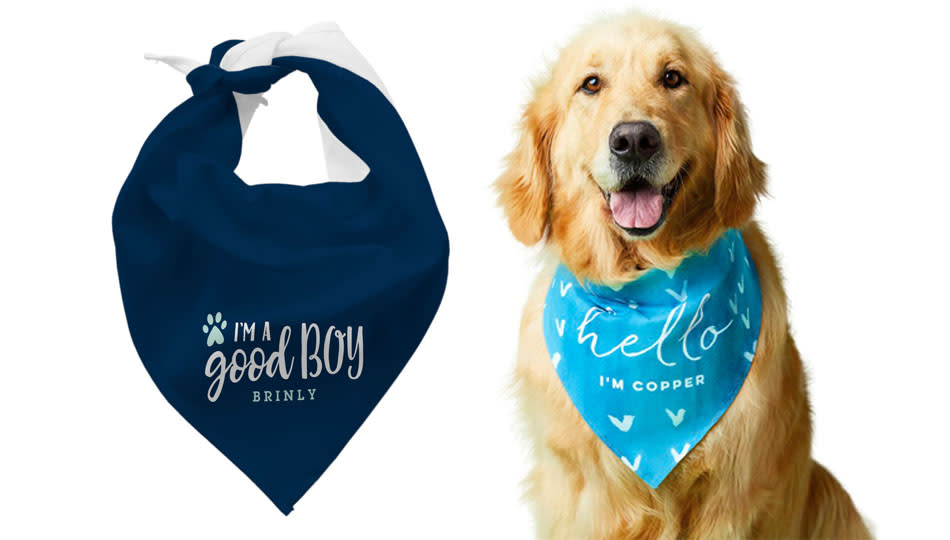 Oh my dog! Those are cute bandanas. (Photo: Shutterfly)