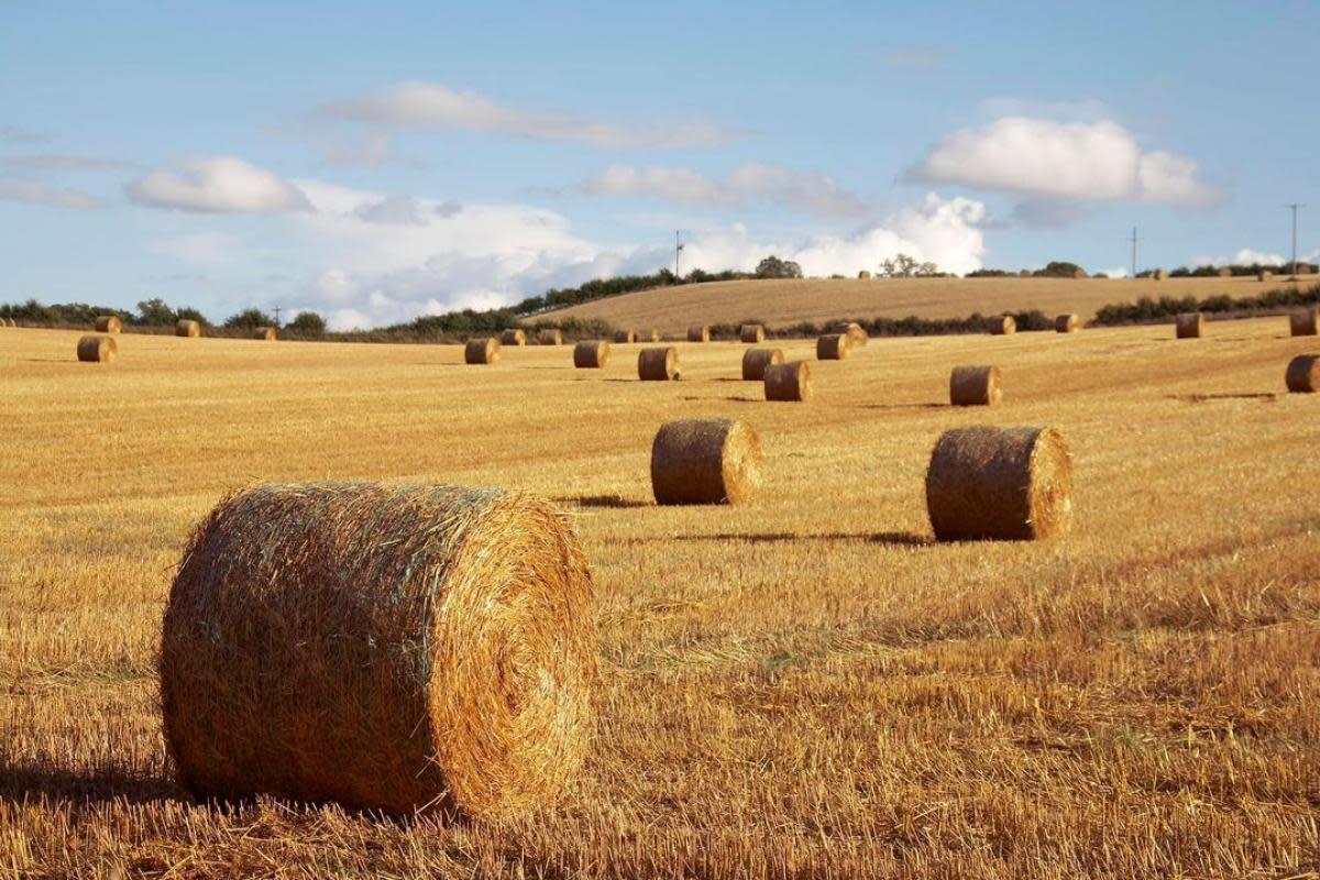 Farmers are being urged to 'keep an eye' on their freshly bailed hay this month <i>(Image: DWFRS)</i>