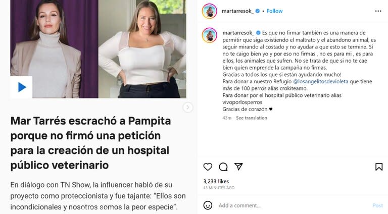 Mar Tarres apuntó contra Pampita por no apoyar su proyecto de la creación de un hospital veterinario público