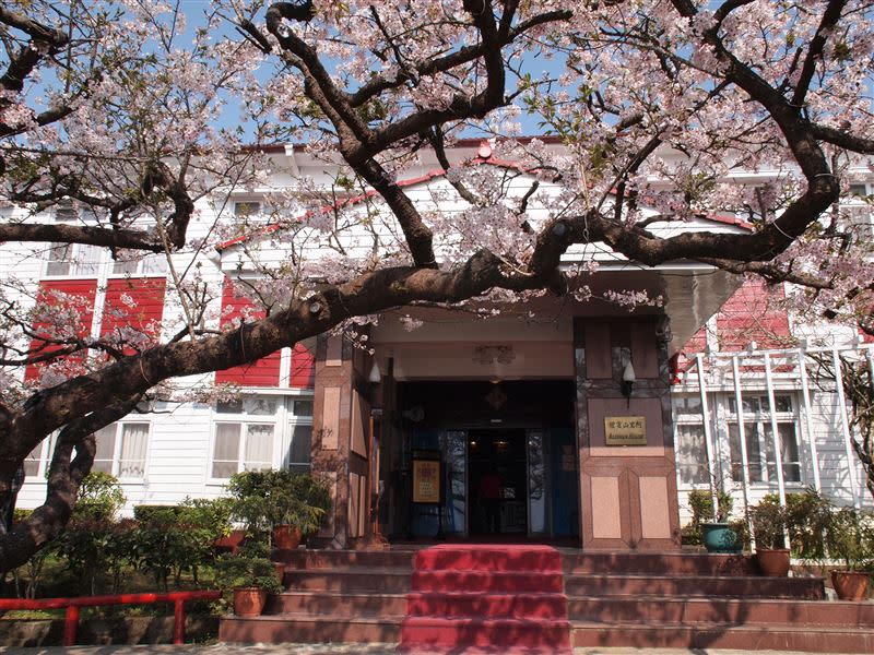 入住阿里山賓館，從房內就可獨享廣場前粉紅嬌嫩的吉野櫻。（圖／Booking.com提供）