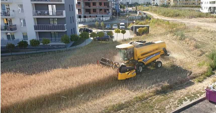 波蘭1位農民堅持不賣地，開著收割機在周圍大樓林立的田地中收割莊稼。（圖／翻攝自Michał Mysłowski YouTube）