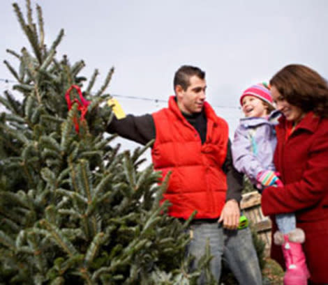 Family buying a Christmas tree