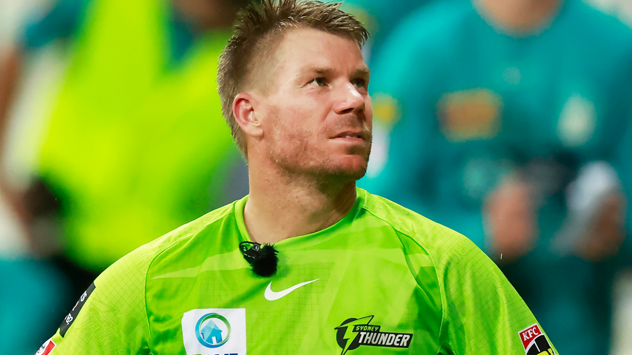 David Warner (pictured) looking up during a Big Bash League game.