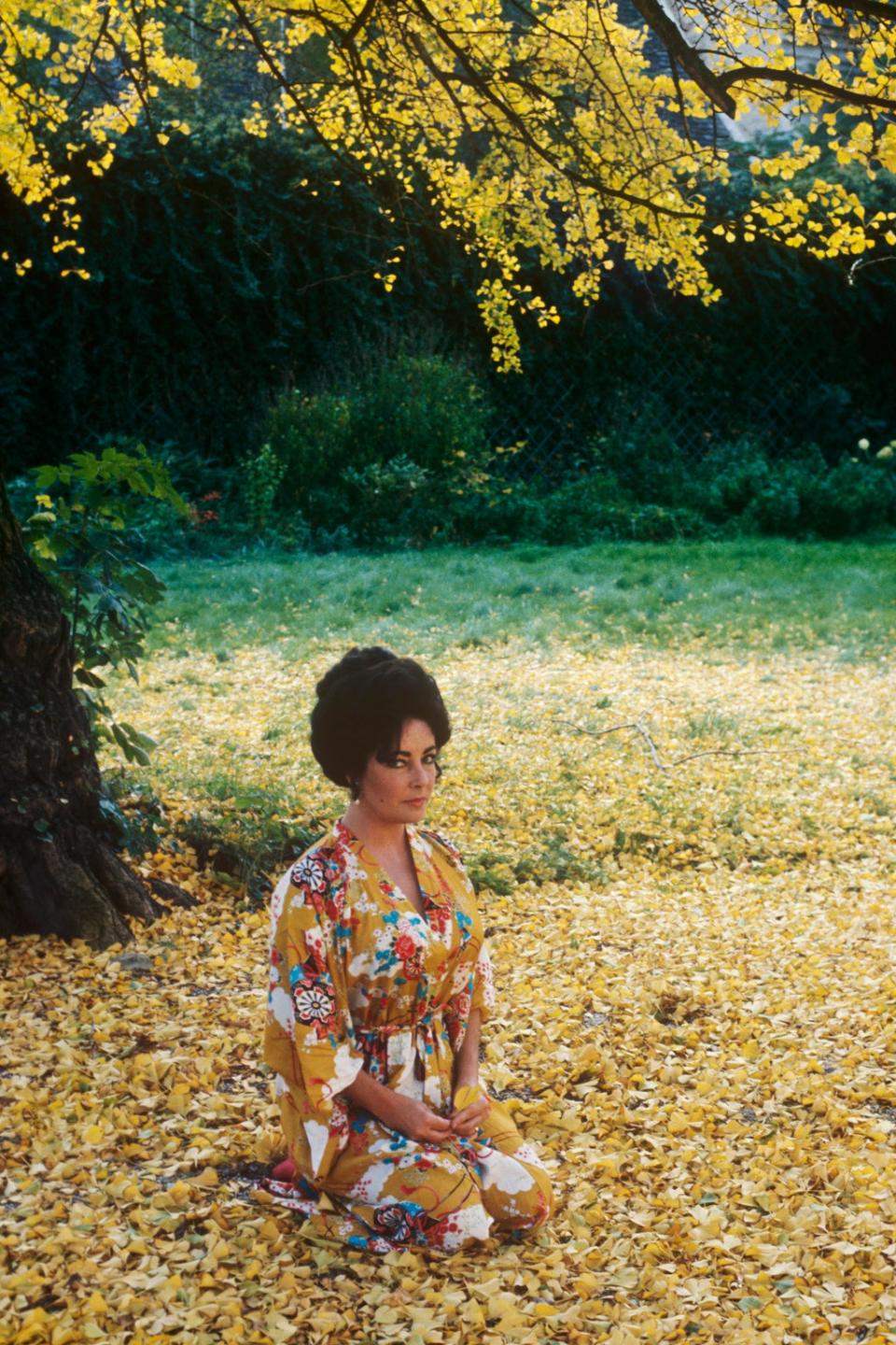 Elizabeth Taylor, on the set of 'A Little Night Music' in Austria, 1977 (Terry O'Neill / Iconic Images)