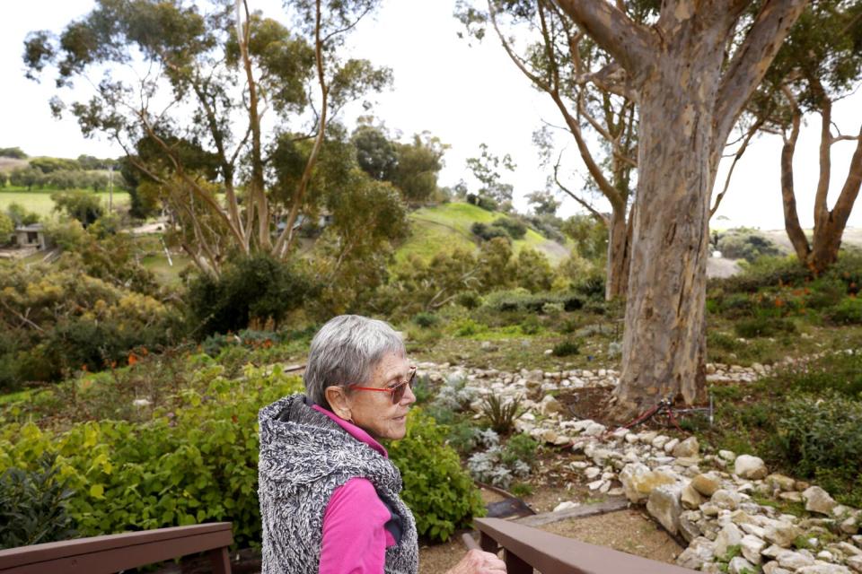 Sallie Reeves looks out at the view of grass, trees and rocks from her back deck.