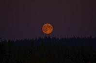 The blue moon over Evergreen Valley in Olympia, Wash., was photographed Aug. 31, 2012 by Mary P. Bowman.