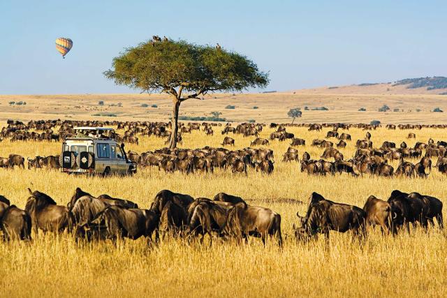 Top 10 Destinations for African Safaris