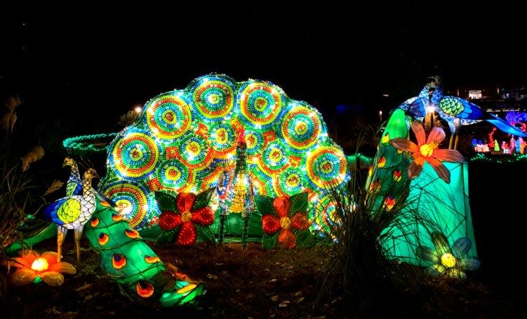 Zoo Lights presented by Chick-Fil-A at Zoo Knoxville is the ultimate dazzling holiday experience. Feb. 18, 2021