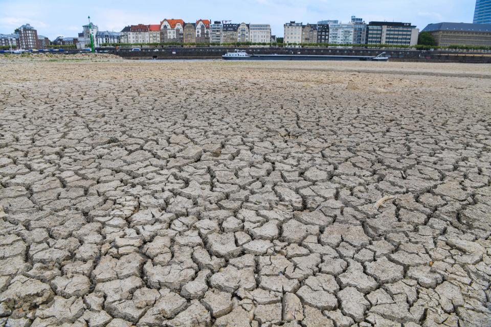 <p>The river bed of the Rhine is dried on Aug. 8, 2018 in Duesseldorf, western Germany, as the heatwave goes on. (Photo: Patrik Stollarz/AFP/Getty Images) </p>