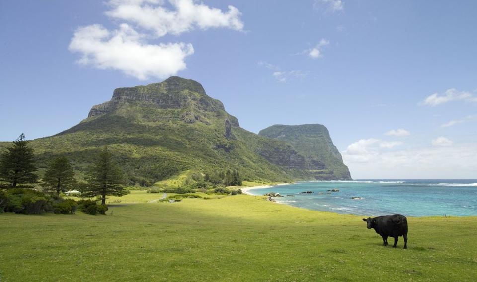 Lord Howe Island Australia