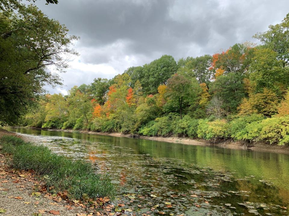  The novel ‘Turtles All the Way Down’ highlights many Indiana favorites, including Indiana’s White River . (Photo from the Central Indiana Land Trust)
