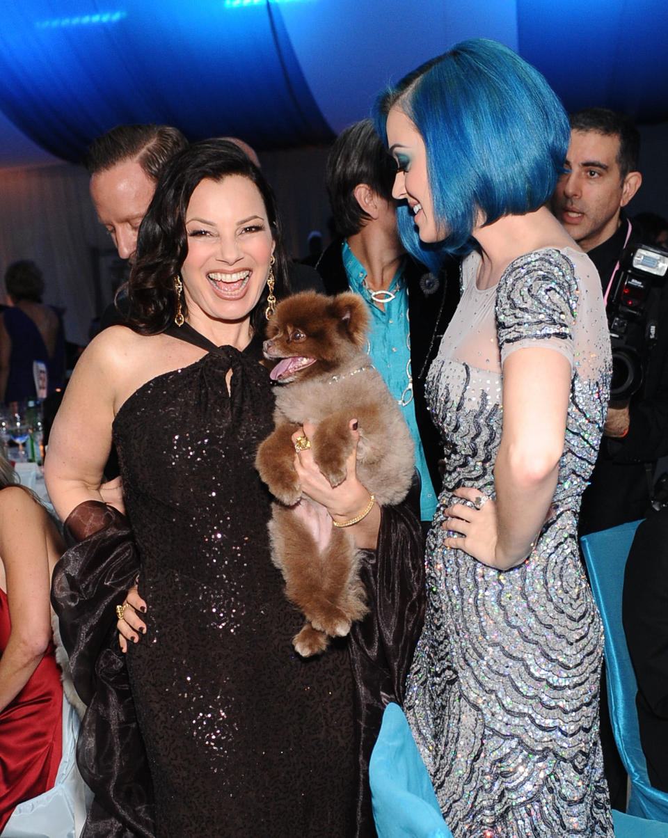 Wau! Eine ewigjunge Nanny, eine blaue Katy und ein Hund, der aussieht wie ein Baby-Bär - so etwas gibt es nur bei der Oscar-Party von Elton John.