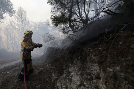 A firefighter sprays water onto trees and brush to fight a wildfire in Carros, near Nice, France, July 24, 2017. REUTERS/Eric Gaillard