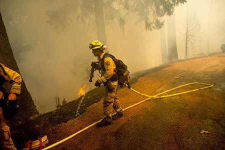 A firefighter carries a hose while battling the King Fire near Fresh Pond, California September 16, 2014. REUTERS/Noah Berger