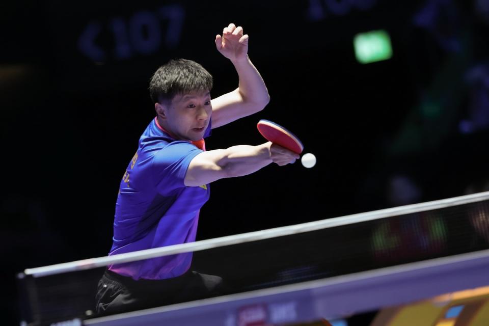 Ma Long a battu Wang Chuqin pour se qualifier pour la finale et était en grande forme.