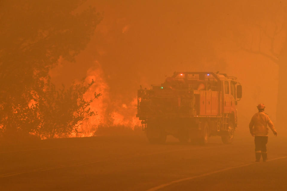 A fire truck passes a tree on fire in Buxton, NSW.