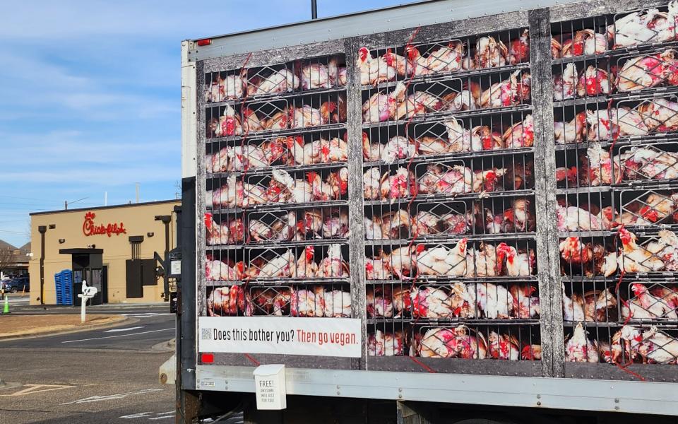 PETA's ‘Hell on Wheels’ traveled through Amarillo protesting chicken consumption Friday and Saturday as a part of its nationwide campaign urging people to go vegan.