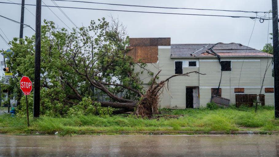 A tree in Houston, Texas was toppled by Hurricane Beryl's fierce winds
