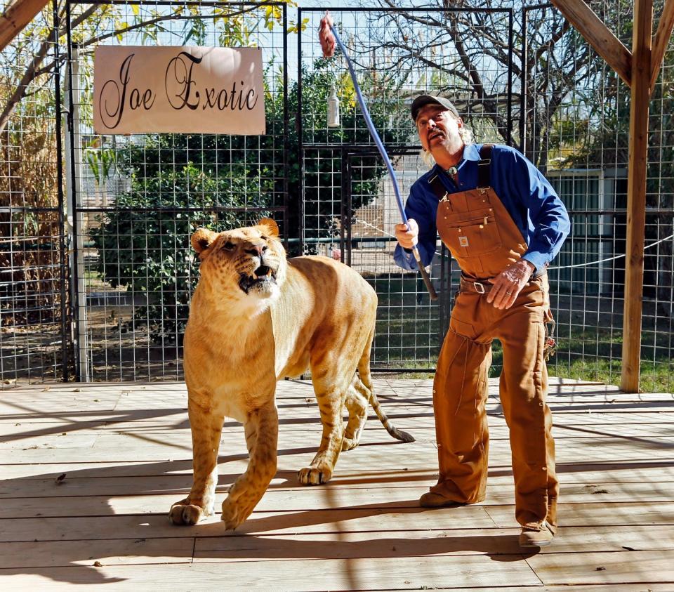 Joe Exotic is shown in 2016 working with Boco, a tiger-lion hybrid, at the Greater Wynnewood Exotic Animal Park