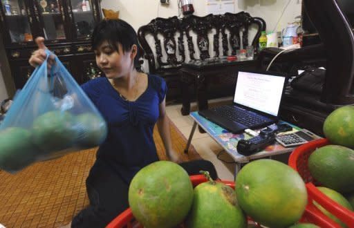 Phuong, an employee of Hanoi Posts Company, also works as a part-time e-trader selling fruit in Hanoi. Vietnam's young, tech-savvy population is turning to the Internet to break out of an economic system stifled by decades of communist rule, leading to a boom in e-commerce