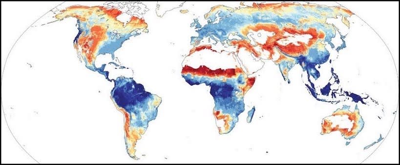 Regions where tree planting would curb warming on balance are shaded in blue, while regions where tree planting would intensify warming are shaded in red. Hasler, et al.