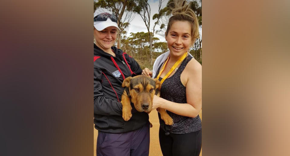 Stormy made friends with runners and volunteers as he ran in the Goldfields Pipeline Half Marathon in Kalgoorlie. Source: Facebook/Goldfields Pipeline Marathon