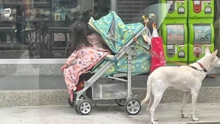 女童和狗狗在超商門口外。（圖／翻攝自爆廢公社二館）