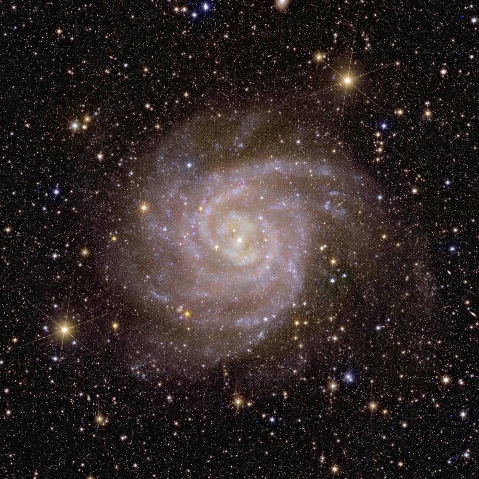 Over its lifetime, Euclid, what the European Space Agency has dubbed a 'dark universe detective,' will image billions of galaxies, revealing the unseen influence that dark matter and dark energy have on them. That’s why it’s fitting that one of the first galaxies that Euclid observed is nicknamed the ‘Hidden Galaxy’, also known as IC 342 or Caldwell 5. Thanks to its infrared view, Euclid has already uncovered crucial information about the stars in this galaxy, which is a look-alike of our Milky Way.