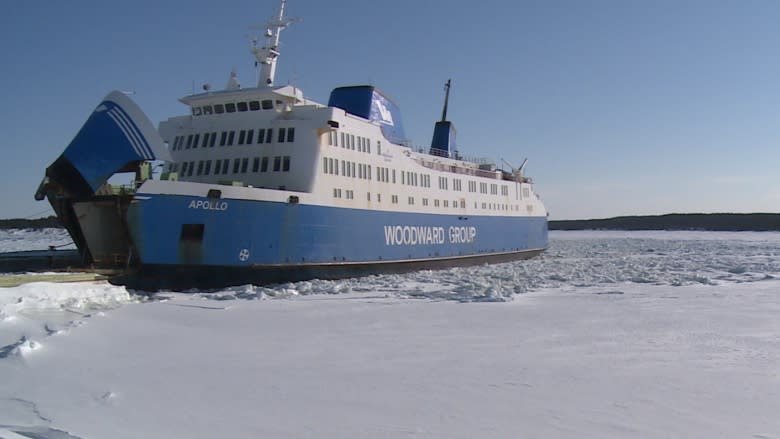 Iced in? Fly out: Labrador man charters plane after Apollo ferry stranded