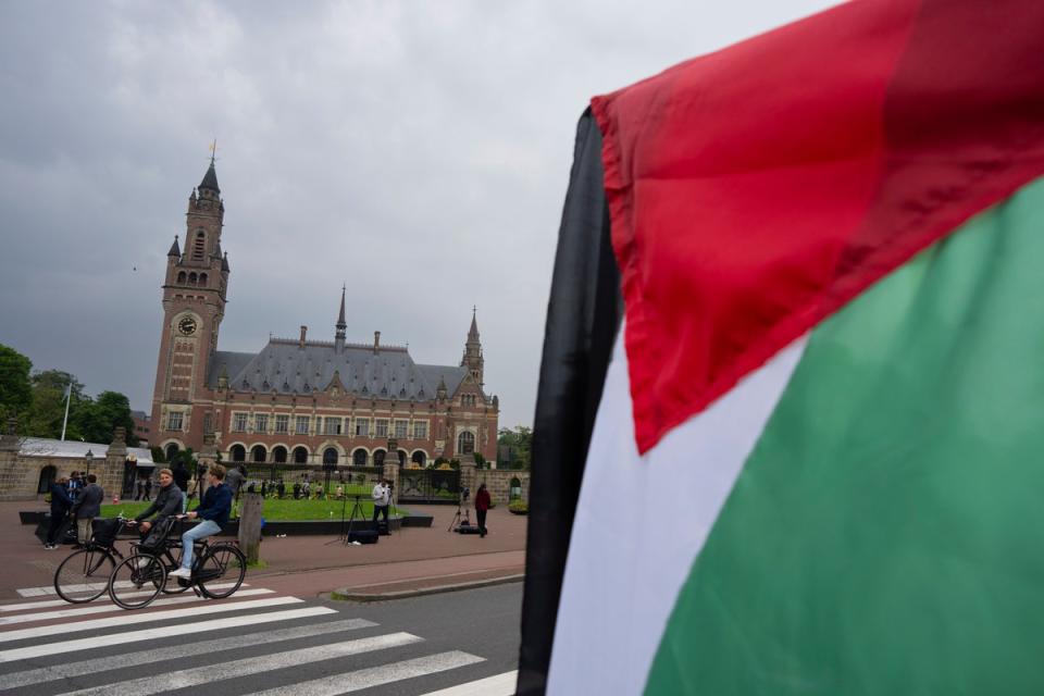 The court at The Hague, with demonstrators carrying Palestinian flags (AP)
