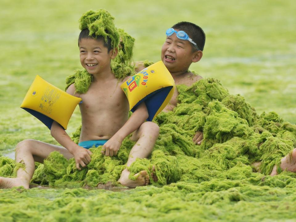 algae swimming kids smiling