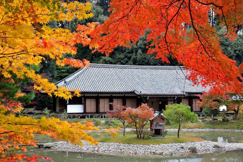 淨瑠璃寺本是淨土之地，秋天的時候更是美得令人屏息。（京都府觀光連盟提供）