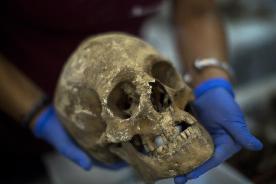 In this Tuesday, Aug. 28, 2018 photo, a victim's skull is examined during the classification process by anthropologists following the exhumation of a mass grave found in 2018 at the cemetery of Paterna, near Valencia, Spain. DNA tests will be conducted in the hope of confirming the identities of those who disappeared eight decades ago, believed to have been executed by the forces of Gen. Francisco Franco during and after the 1936-39 Spanish Civil War.(AP Photo/Emilio Morenatti)