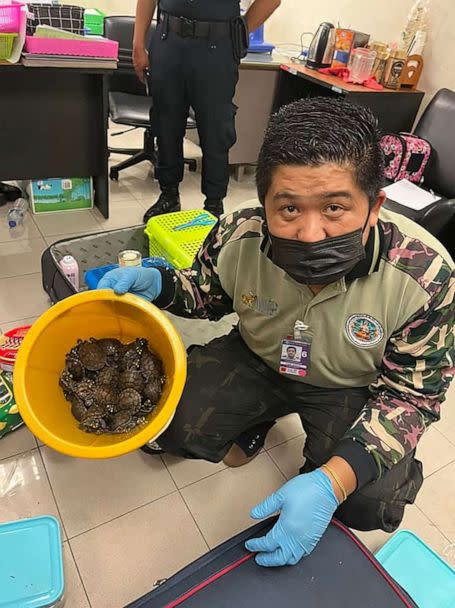 PHOTO: This handout photo taken on June 27, 2022, shows an official with turtles rescued after being found in a passenger's luggage at Suvarnabhumi International Airport in Bangkok, Thailand. (Dept. of National Parks, Wildlife and Plant Conservation/AFP via Getty Images)