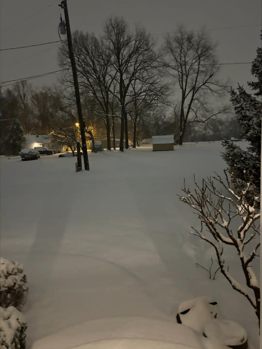 Snow in Donelson (Courtesy: Linda Simpson)