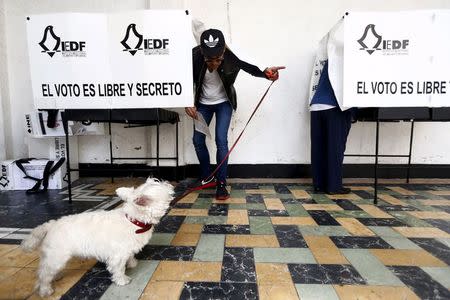 A man gestures to his dog as he casts his ballot during midterm elections in Mexico City, June 7, 2015. REUTERS/Edgard Garrido