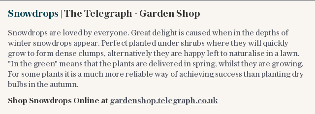 Snowdrops | The Telegraph - Garden Shop
