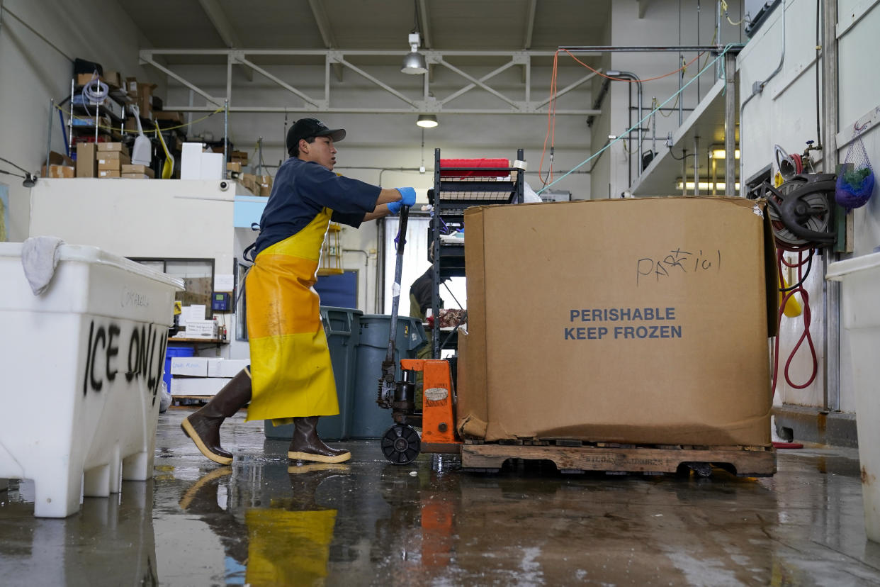 A worker moves fish into a freezer at Costarella Seafoods on Pier 45 in San Francisco, Monday, March 20, 2023. On April 7, the Pacific Fishery Management Council, the regulatory group that advises federal officials, will take action on what to do about the 2023 season for both commercial and recreational salmon fishing. (AP Photo/Godofredo A. Vásquez)
