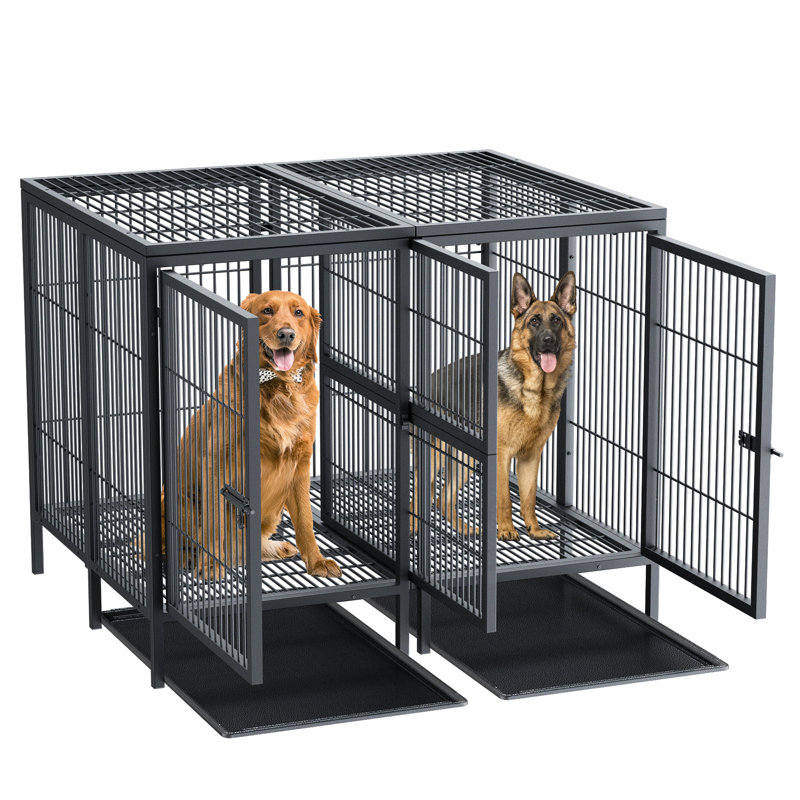 The Best Dog Crates, According to Professional Trainers