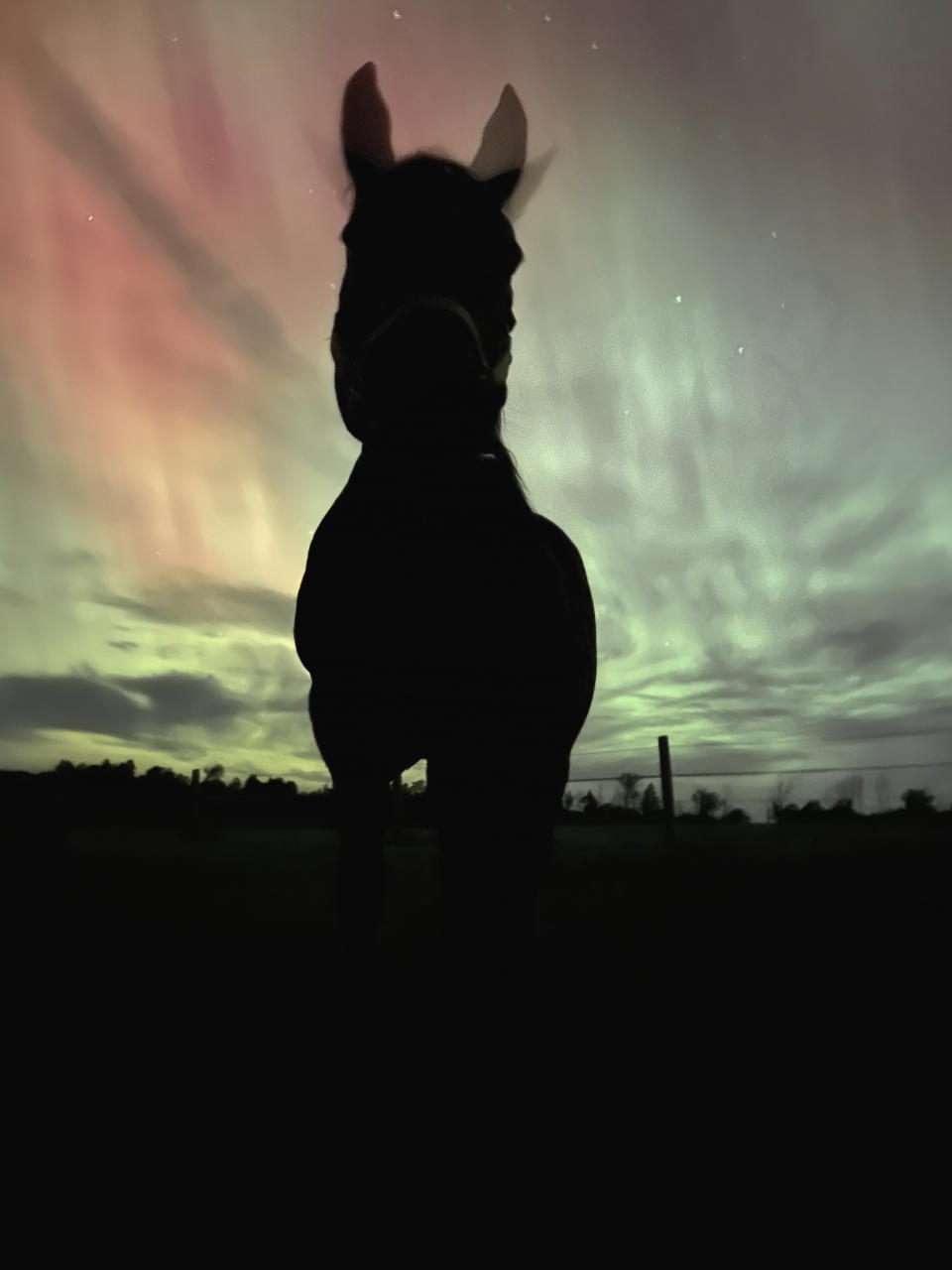 A horse stands in a field as the northern lights display fill the sky in Meaford, Ontario on Thursday Oct. 10, 2024. THE CANADIAN PRESS/HO - Ian Holvik