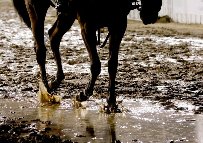 Stables prepare for the Kentucky Derby at Churchill Downs