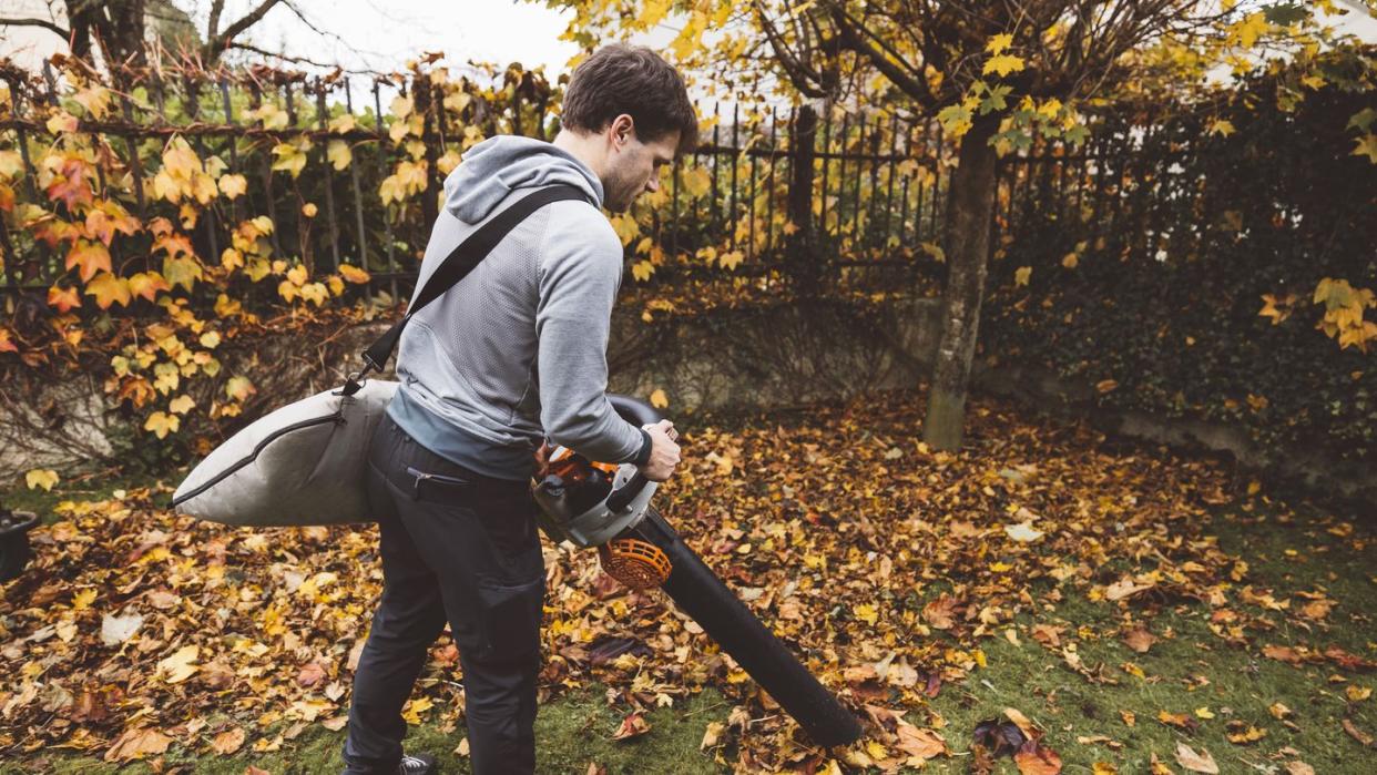 back view of a man vacuuming crispy leaves with leaf vacuum