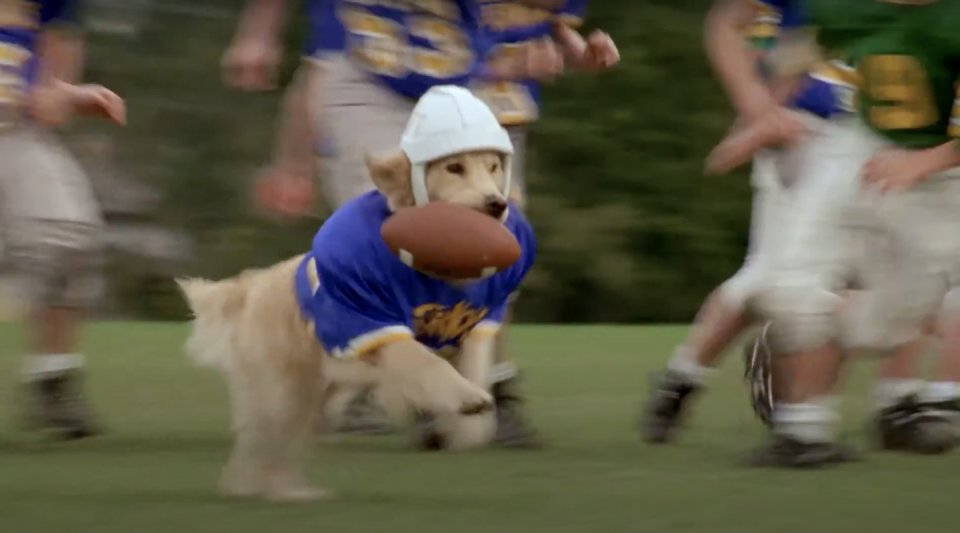 air buddy