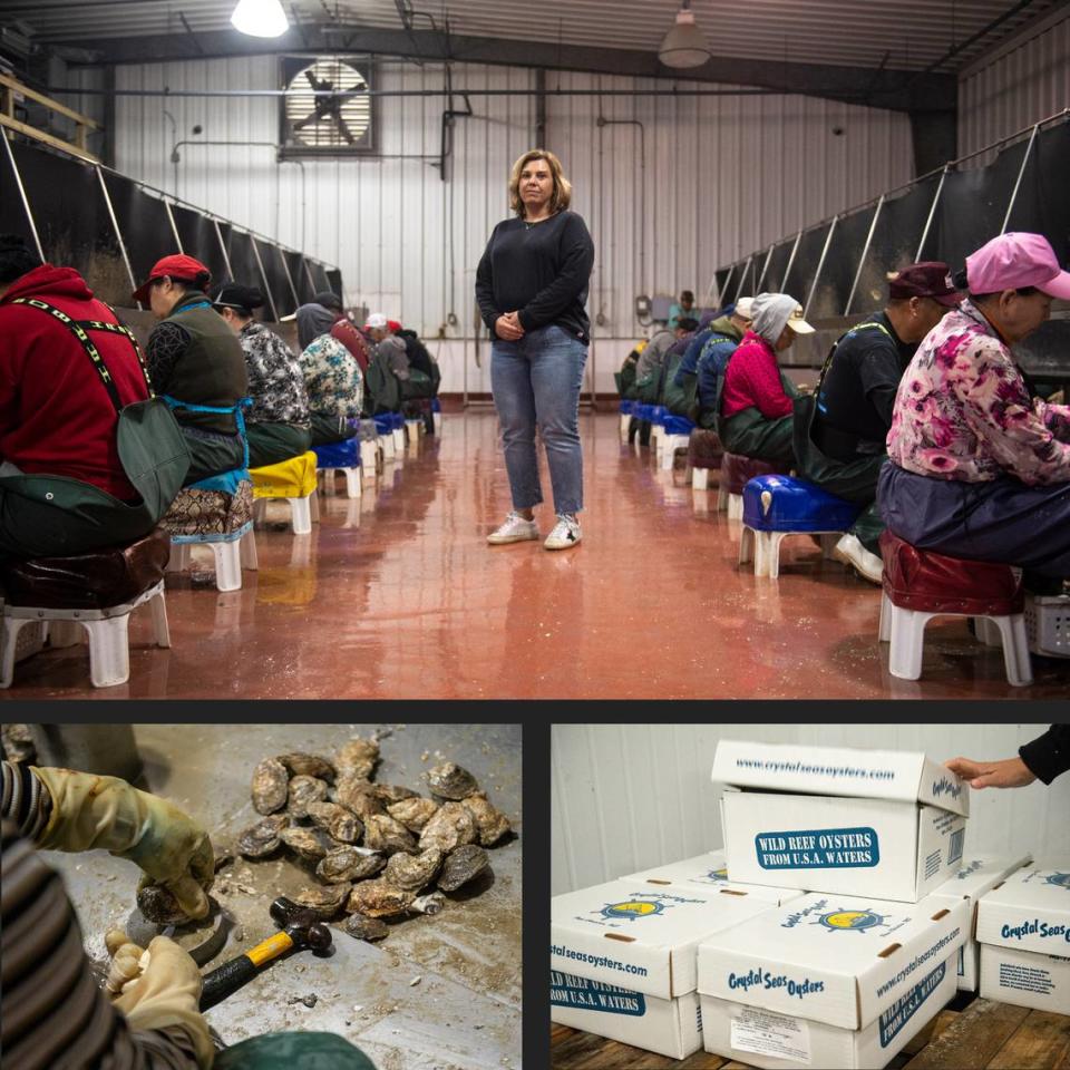 First image: Jennifer Jenkins manages Crystal Seas Seafood in Pass Christian. Second image: Workers shuck oysters at Crystal Seas. Third image: Oysters will be frozen and boxed up for distribution.