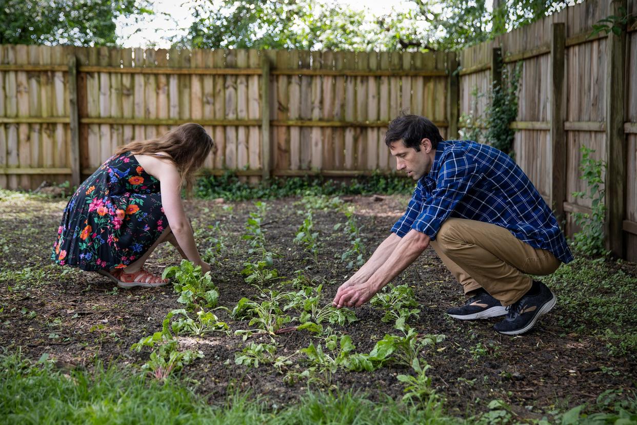 Julia Spangler and Mark Clayton fluff herb plants back up after rainfall at their Indianapolis home on Thursday, May 28, 2020. "The climate crisis isnÕt going to be solved only through gardening or through regenerative agriculture, so I like the allusion to Victory Gardens because of the kind of coming together and the community aspect that is suggests," Spangler said. "But I think it's important to keep in mind that climate change needs a lot of different solutions."