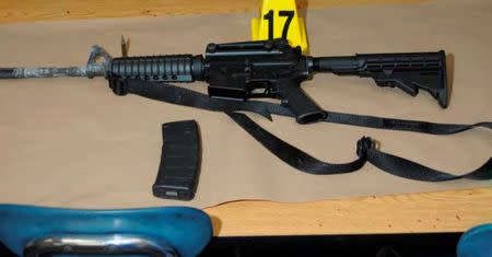 A Bushmaster rifle belonging to Sandy Hook Elementary school gunman Adam Lanza in Newtown, Connecticut is seen after its recovery at the school in this police evidence photo released by the state's attorney's office on November 25, 2013. REUTERS/Connecticut Department of Justice/Handout via REUTERS