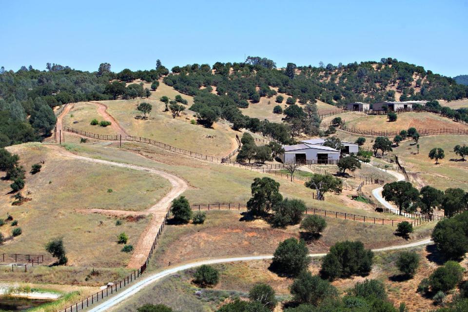 In this image taken on July 10, 2012 provided by PAWS, the African habitat where three African elephants, Iringa, 42, Toka, 41, and Thika, 31, will soon reside is shown at PAWS ARK 2000 sanctuary in San Andreas, Calif. African elephants who live to 60 or 70 in the wild, do not survive well past 50 in captivity. (AP Photo/PAWS, Lisa Jeffries)