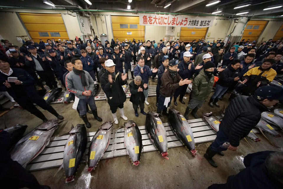 Bidding for tuna at Tsukiji